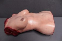 Dapper Cadaver Workshop Lucy Torso Torsos And Half Bodies