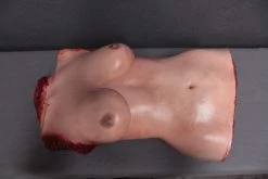 Dapper Cadaver Workshop Lucy Torso Torsos And Half Bodies