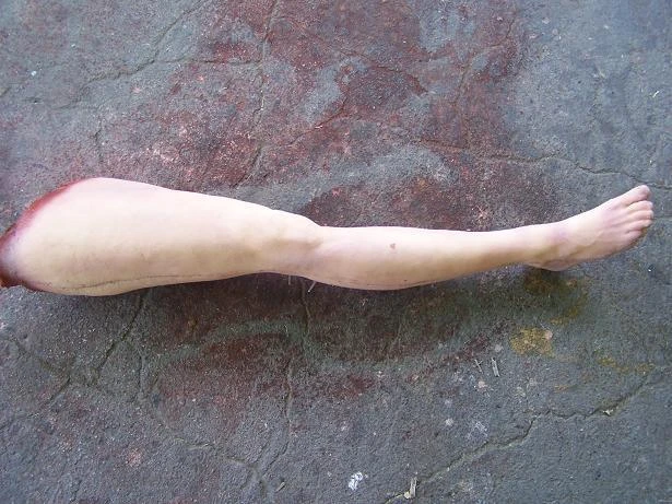 Dapper Cadaver Workshop Fake Legs Jessica Legs - Female 6 Dapper Cadaver Workshop Fake Legs Jessica Legs - Female