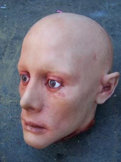 Dapper Cadaver Workshop Fake Heads Joe Head