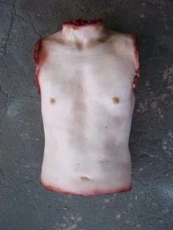 Dapper Cadaver Workshop Torsos And Half Bodies Joe Torso