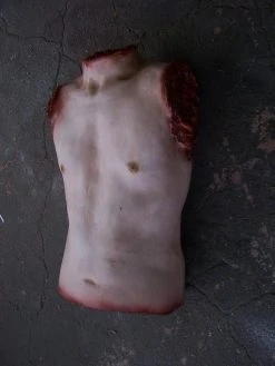 Dapper Cadaver Workshop Torsos And Half Bodies Joe Torso