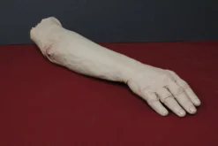 Dapper Cadaver Workshop Dura Joel Arm Dura Rubber