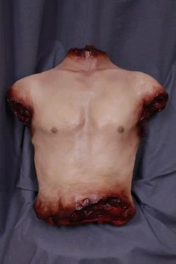 Dapper Cadaver Workshop Jones Male Torso Torsos And Half Bodies