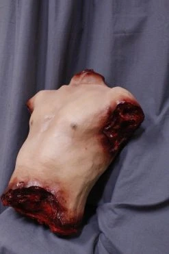 Dapper Cadaver Workshop Jones Male Torso Torsos And Half Bodies