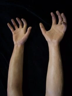 Dapper Cadaver Workshop Fake Arms Kristina Arm - Female