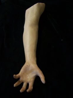 Dapper Cadaver Workshop Fake Arms Kristina Arm - Female
