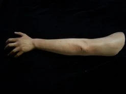 Dapper Cadaver Workshop Fake Arms Kristina Arm - Female