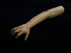 Dapper Cadaver Workshop Fake Arms Kristina Arm - Female