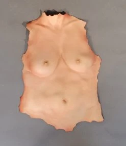 Dapper Cadaver Workshop Kristina Human Torso Skin