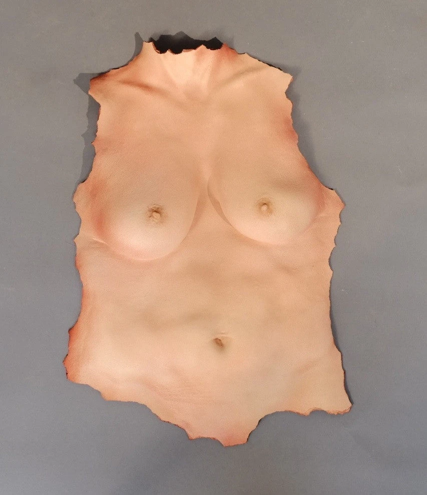 Dapper Cadaver Workshop Kristina Human Torso Skin 1 Dapper Cadaver Workshop Kristina Human Torso Skin