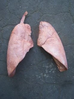 Dapper Cadaver Workshop Lungs Pair, Large Prop Organs