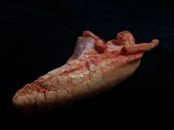 Dapper Cadaver Workshop Right Large Lung Prop Organs 7 Dapper Cadaver Workshop Right Large Lung Prop Organs