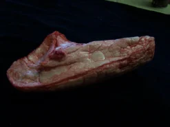 Dapper Cadaver Workshop Left Large Lung