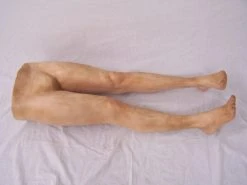 Dapper Cadaver Workshop Fake Legs Lower Half Joe Body
