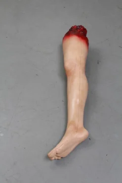 Dapper Cadaver Workshop Dura Lucy Legs