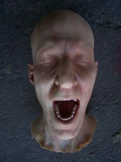 Dapper Cadaver Workshop Fake Heads Martin Head