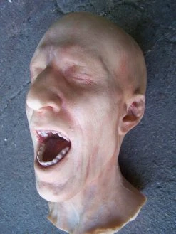 Dapper Cadaver Workshop Fake Heads Martin Head