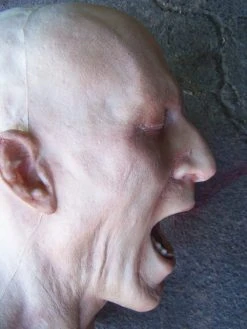 Dapper Cadaver Workshop Fake Heads Martin Head