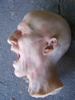 Dapper Cadaver Workshop Fake Heads Martin Head