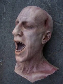 Dapper Cadaver Workshop Fake Heads Martin Head