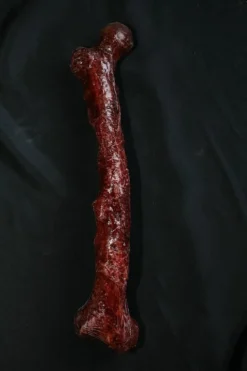 Dapper Cadaver Workshop Meat Femur Gory Body Parts