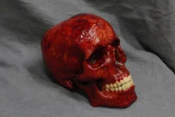 Dapper Cadaver Workshop Gory Body Parts Meat Skull Harvey