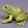 Safari LTD Reptiles, Sealife & More Realistic Rubber Frog