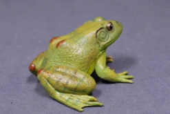 Safari LTD Reptiles, Sealife & More Realistic Rubber Frog
