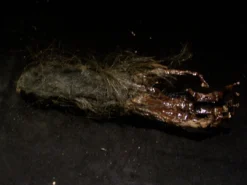 Dapper Cadaver Workshop New Haunt Props Large Realistic Monkeys Paw