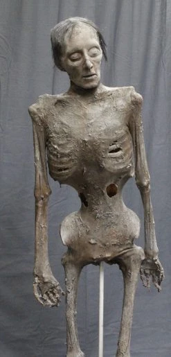 Dapper Cadaver Workshop Morgan Mummy Prop