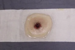 Dapper Cadaver Workshop Miscellaneous Body Parts Dura Strap-On Wound Kit