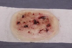 Dapper Cadaver Workshop Miscellaneous Body Parts Dura Strap-On Wound Kit