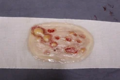 Dapper Cadaver Workshop Miscellaneous Body Parts Dura Strap-On Wound Kit