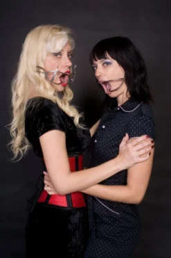 Shelter Surgical Distribution Ratchet Mouth Gag Science Decor 16 Shelter Surgical Distribution Ratchet Mouth Gag Science Decor