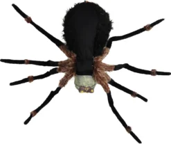 Morris Costumes 4 Ft Hanging Light Up Black Spider Rental