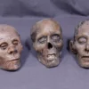 Dapper Cadaver Workshop Mummified Skulls Package