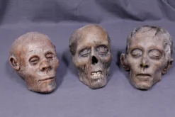 Dapper Cadaver Workshop Mummified Skulls Package