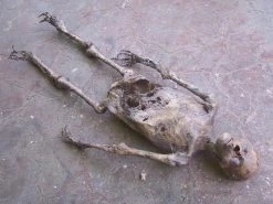 Dapper Cadaver Workshop Decayed & Mummy Mummy Jack