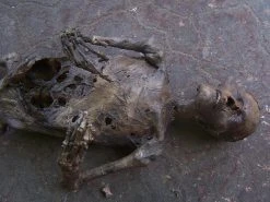 Dapper Cadaver Workshop Decayed & Mummy Mummy Jack