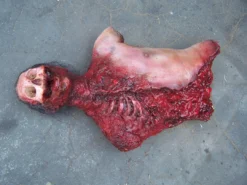 Dapper Cadaver Workshop Deluxe Skull And Gore Torso