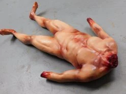 Dapper Cadaver Workshop Dura Non-Identifiable Jack Body Wounded