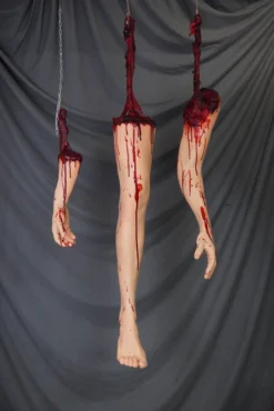 Dapper Cadaver Workshop Gory Body Parts Dangler Bloody Body Part 3 Piece Combo