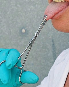 Shelter Surgical Distribution Science Decor Piercing Forceps