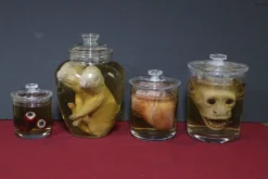 Dapper Cadaver Workshop Oddities Shatterproof Specimen Jar Combo New Haunt Props