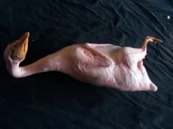 Dapper Cadaver Workshop Plucked Goose Village Props