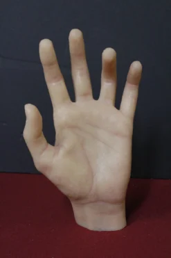 Dapper Cadaver Workshop Poseable Silicone Slender Hands