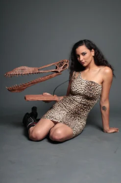 Gaston Design Toothed Pterosaur Skull With Base Rental Dinosaur Props