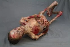 Dapper Cadaver Workshop Putrid Jack Decayed & Mummy