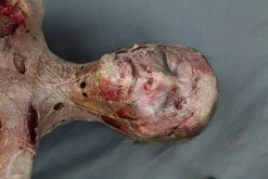 Dapper Cadaver Workshop Putrid Jack Decayed & Mummy